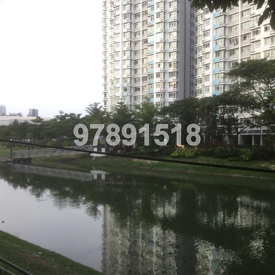 Bendemeer Road thumbnail photo